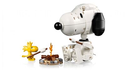 LEGO_21368_WEB_SEC01_NOBG.jpg