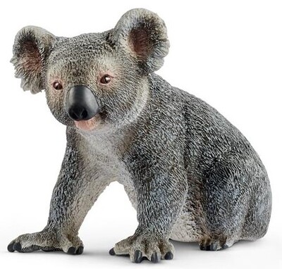 rthrjkoala.jpg