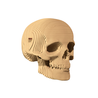 Cartonic_3D_puzzle_Skull_3.jpg