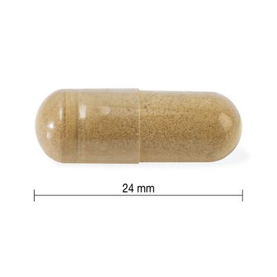 IP4419-01.jpg