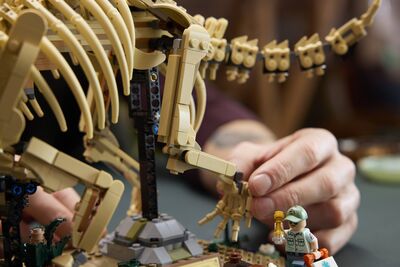 LEGO_77985_Lifestyle_Build_05.jpg