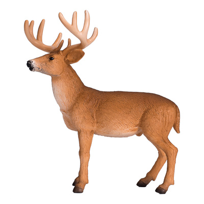 387038_1.animal.jpg