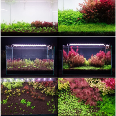 ezgif-34d702769541ef16 (1).jpg