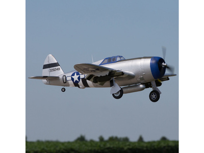 EFL08450_06.jpg