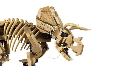LEGO_77985_WEB_SEC03_NOBG.jpg