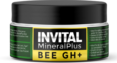dsvsvbbbb0706207884.jpg