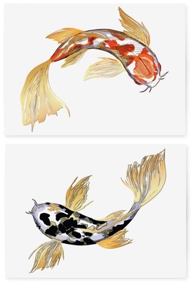 TSGoldFish-04.jpg