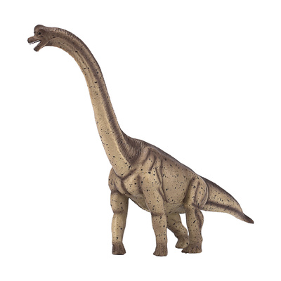 387381_3.animal.jpg
