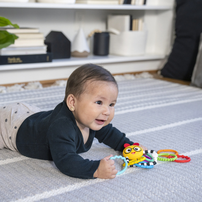 AGS/17496-6/17496_BE_Toy_LS_crop_1676.jpg