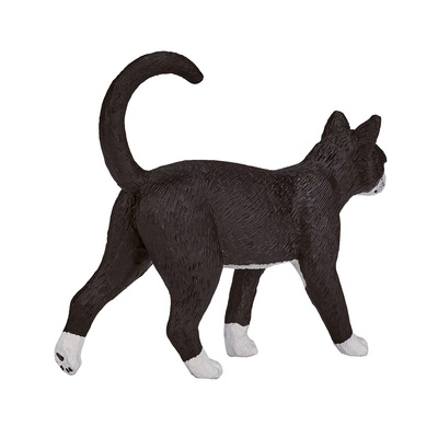387200_Cat_5.jpg