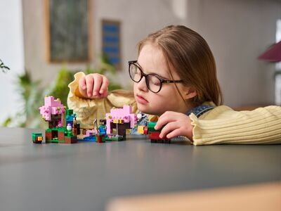 LEGO_21260_Lifestyle1.jpg