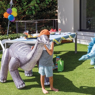 48594np-dino-geant-assortiment-2 (1).jpg