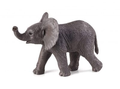 387002-slon.africky-slune-e1485440544197-540x399.jpg