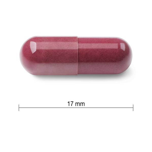 Jamieson Resveratrol 50mg extrakt z červeného vína 30 tablet