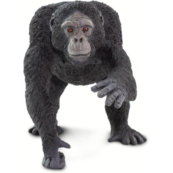 Safari® Šimpanz (obrázek 4)