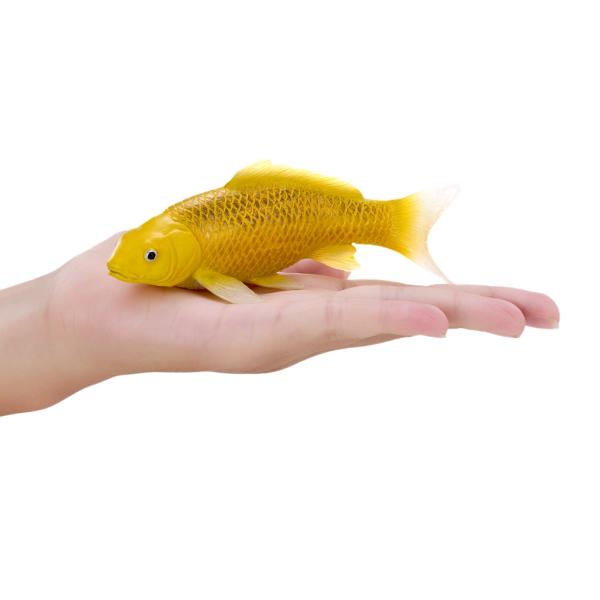 Mojo Kapor koi kin matsuba (obrázek 4)