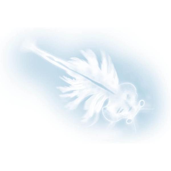 Buki – vodní dráčci