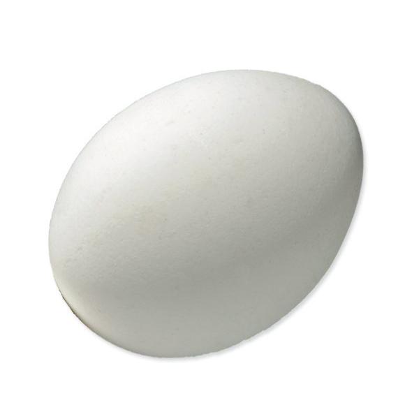 Podkládka pro slepice 1ks