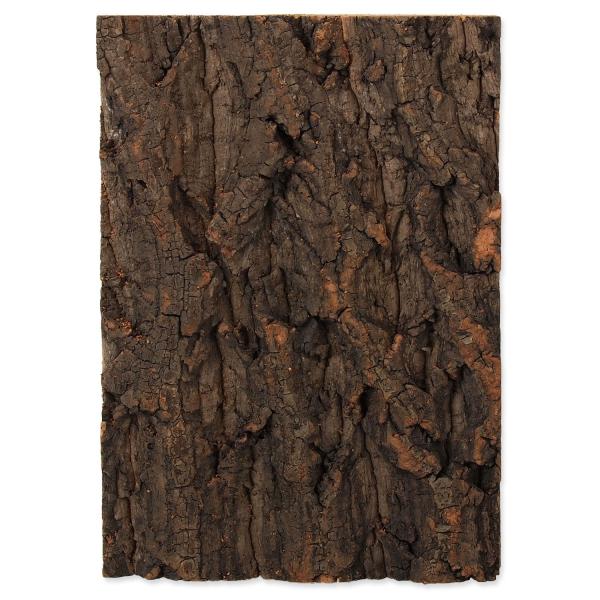 Sfondo Repti Planet sughero naturale 19x27.3x2cm