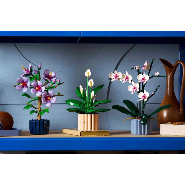 LEGO® Botanicals 11504 Toulcovka (obrázek 6)