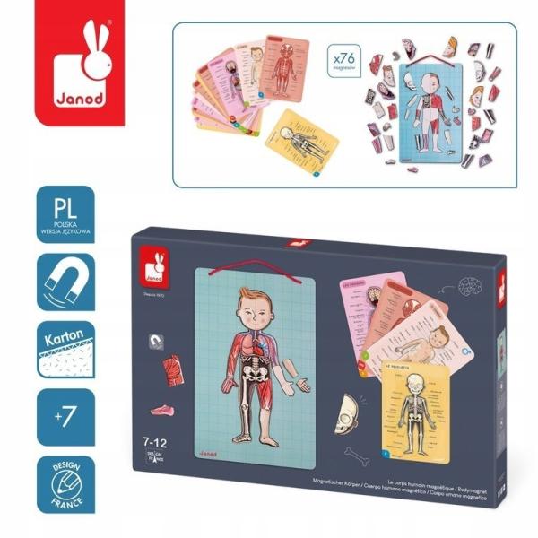 Janod Magnetické lidské tělo Bodymagnet skládačka s tabulí na zavěšení