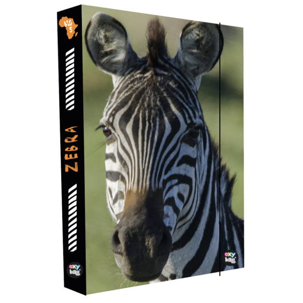 Box na zošity A4 Jumbo Zebra