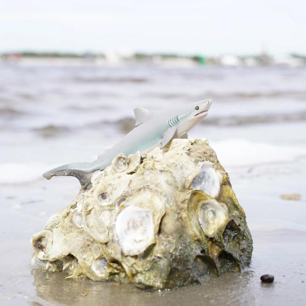 Safari® Býčí žralok (obrázek 6)