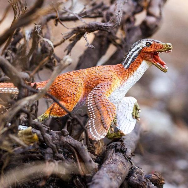 Safari® Opeřený Velociraptor dinosaurus (obrázek 7)
