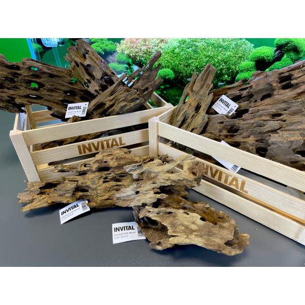 Honey Comb Dřevo S 20-30 cm