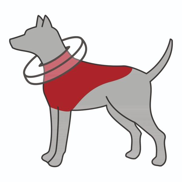 Golier ochranný nafukovací M 40–45cm*11cm modrý