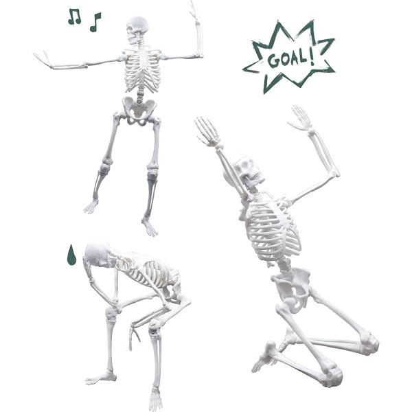 Lidská kostra 45cm (2180)