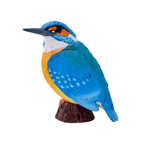 Můj Ledňáček říční