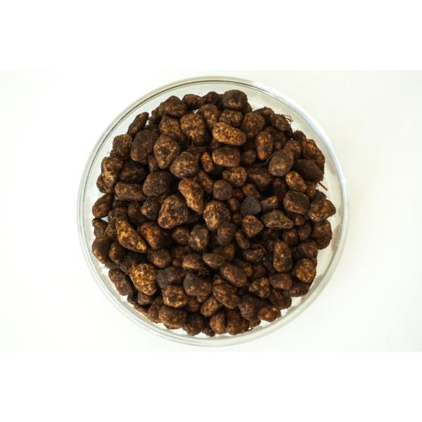 INVITAL DeepBasis 2l