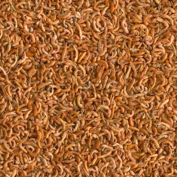 Krmivo Tetra Gammarus 1l