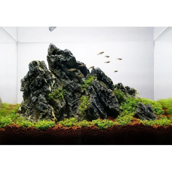 Dark Seiryu kámen MIX kartón 10kg