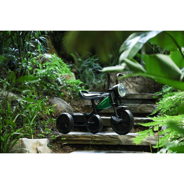 QPLAY Tříkolka Triduro Green, věk 2-6 let (obrázek 5)