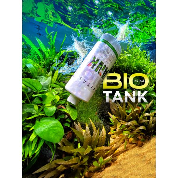 INVITAL BioTank 500 ml