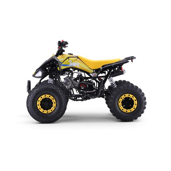 Benzínová čtyřkolka pro děti Beneo Motors ZXT žlutá - 125cm3 (obrázek 3)