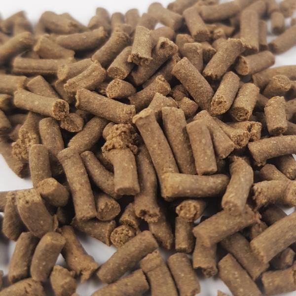 QualDrop Vital White – krmivo pro krevety 30g