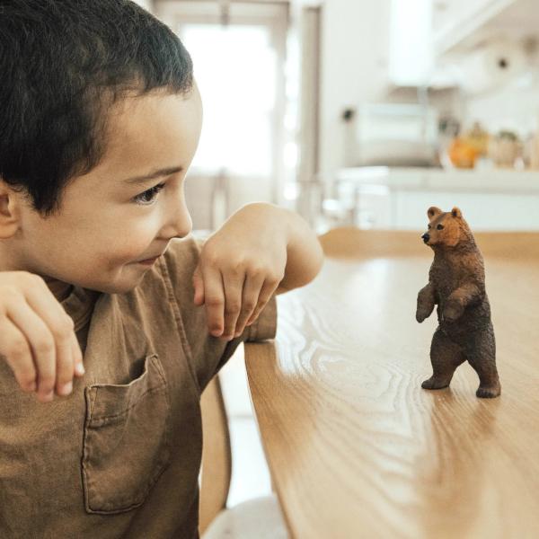 Safari® Medvěd grizzly (obrázek 6)