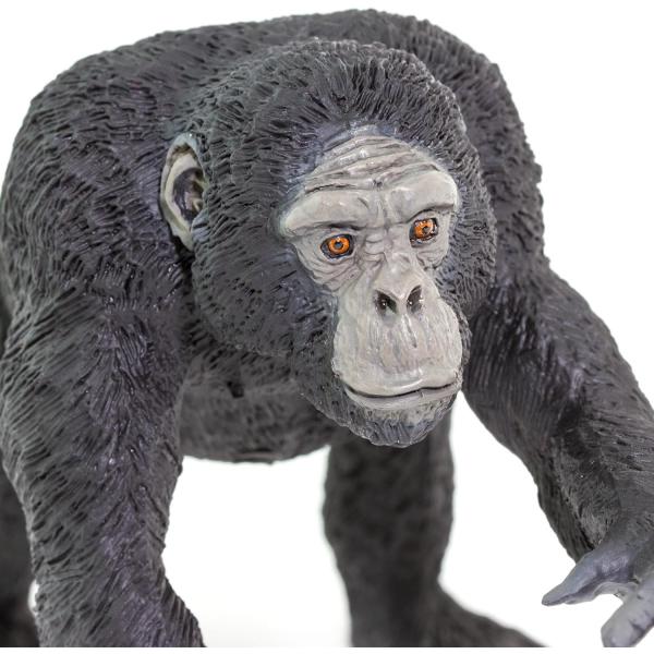 Safari® Šimpanz (obrázek 6)