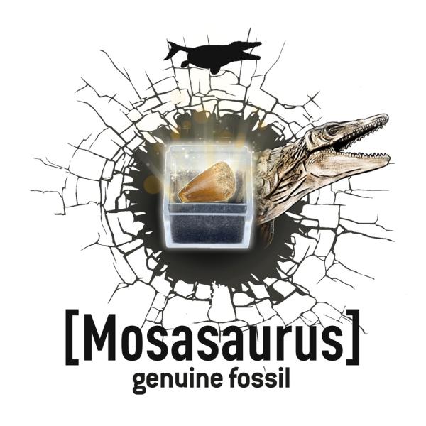 Dinodig vykopávka a kostra Tyranosaurus