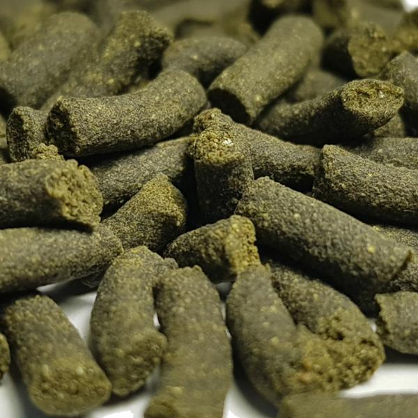 QualDrop Algae – krmivo pro krevety 30g