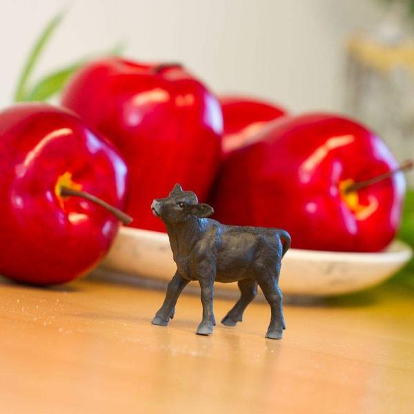 Safari® Tele Angus (obrázek 4)