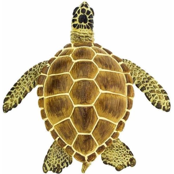 Safari® Kareta obecná