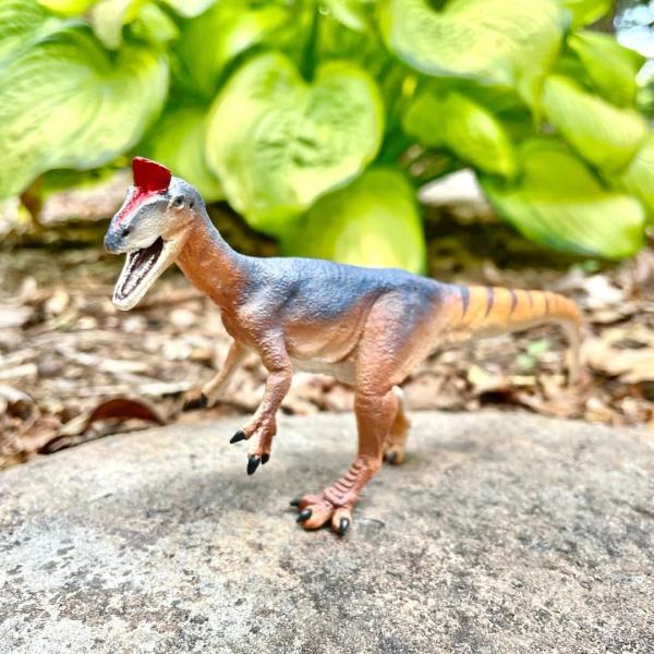 Safari® Cryolophosaurus dinosaurus (obrázek 4)