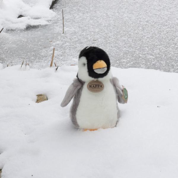 Plyšový tučňák 20 cm ECO-FRIENDLY (obrázek 5)