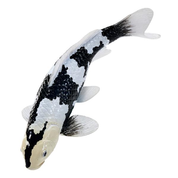 Mojo Kapor koi shiro utsuri