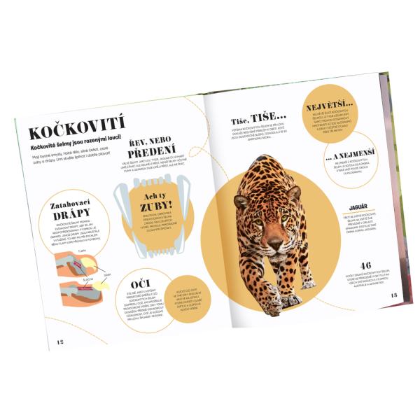 5 MINUT A VÍM: PŘÍRODA – 1000+ základních informací