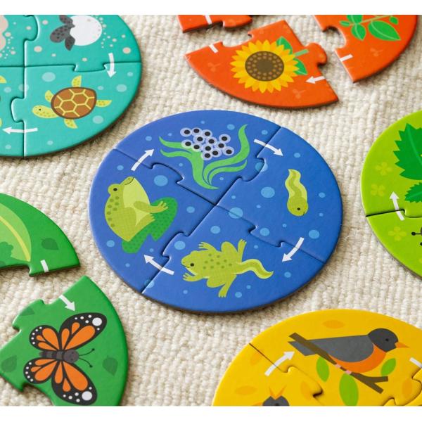 Petit Collage Puzzle pro objevitele Koloběh života (obrázek 5)